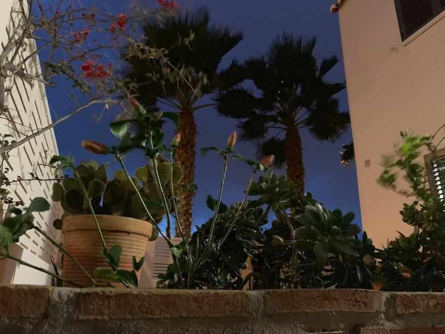 Villa Cinco Palmas 阿尔梅利马 外观 照片
