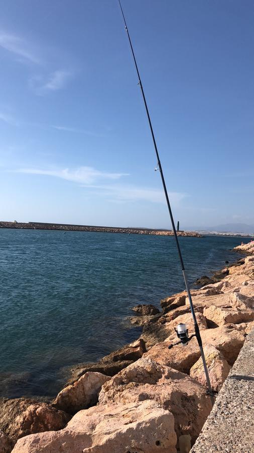 Villa Cinco Palmas 阿尔梅利马 外观 照片