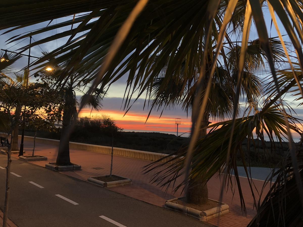 Villa Cinco Palmas 阿尔梅利马 外观 照片