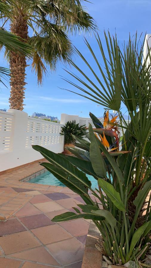 Villa Cinco Palmas 阿尔梅利马 外观 照片